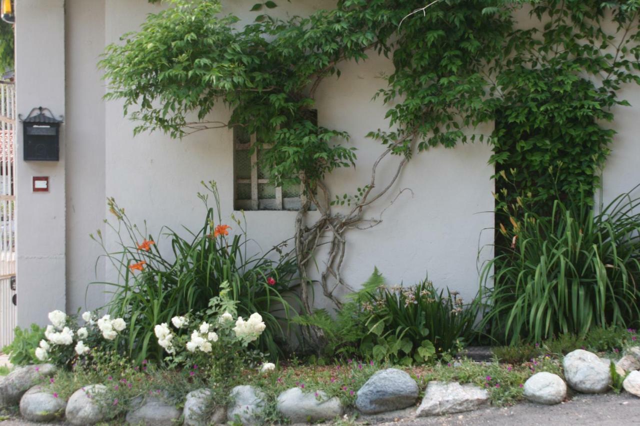 Guest House Al Devesio Rifreddo Exterior foto